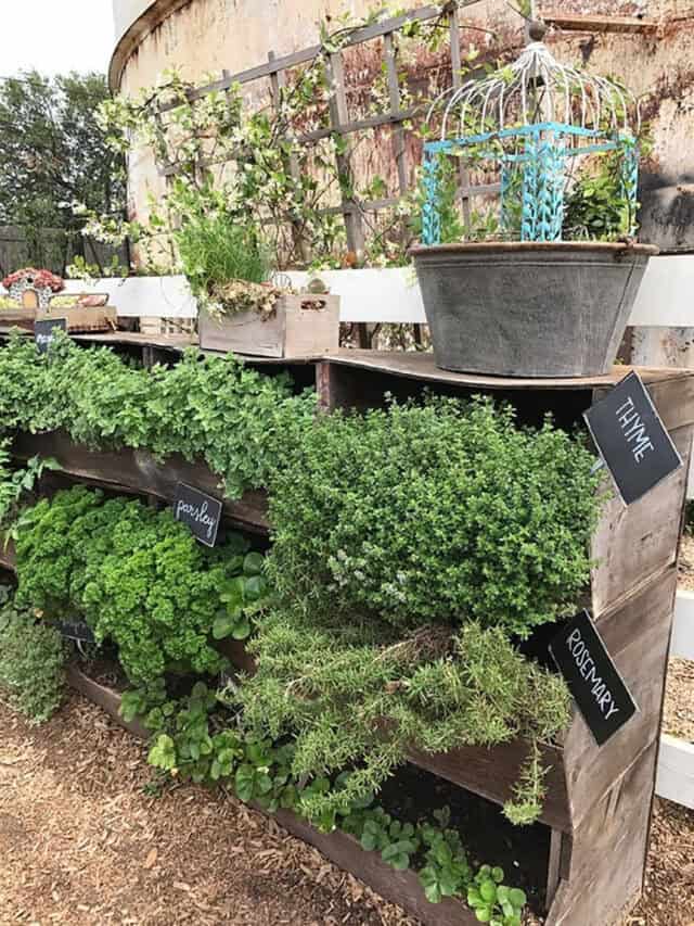 24 Creative Herb Garden Ideas to Maximize Your Small Backyard