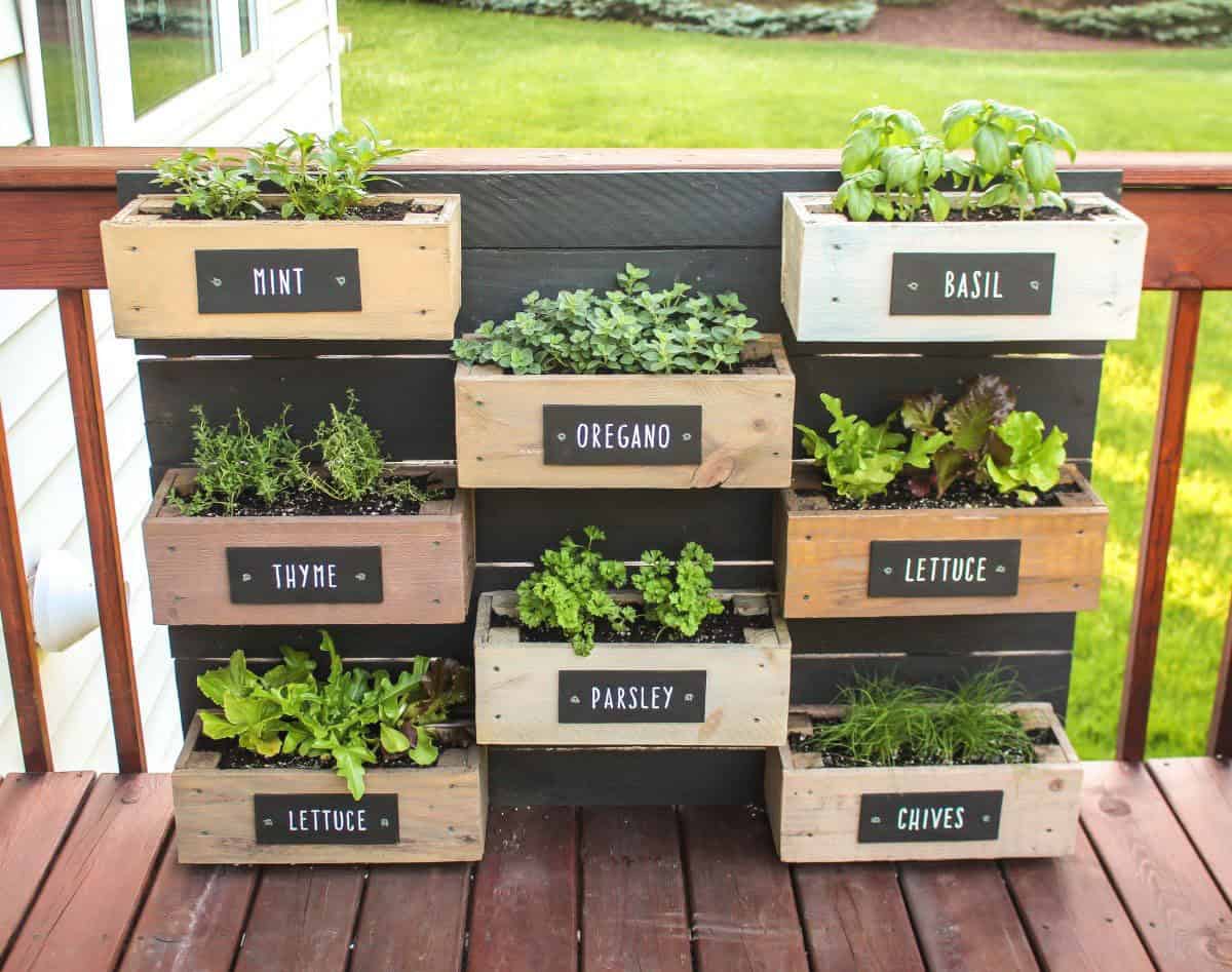 24 Creative Herb Garden Ideas to Maximize Your Small Backyard