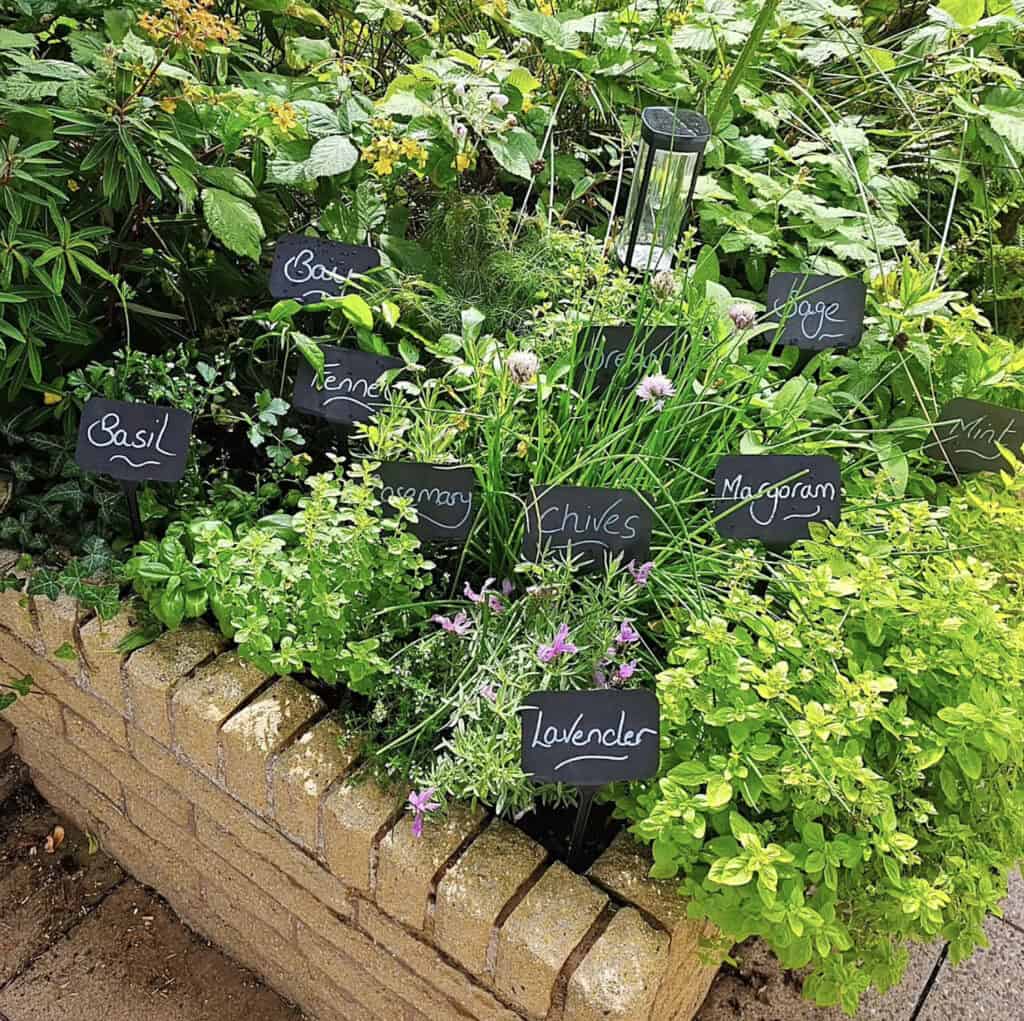 24 Creative Herb Garden Ideas to Maximize Your Small Backyard