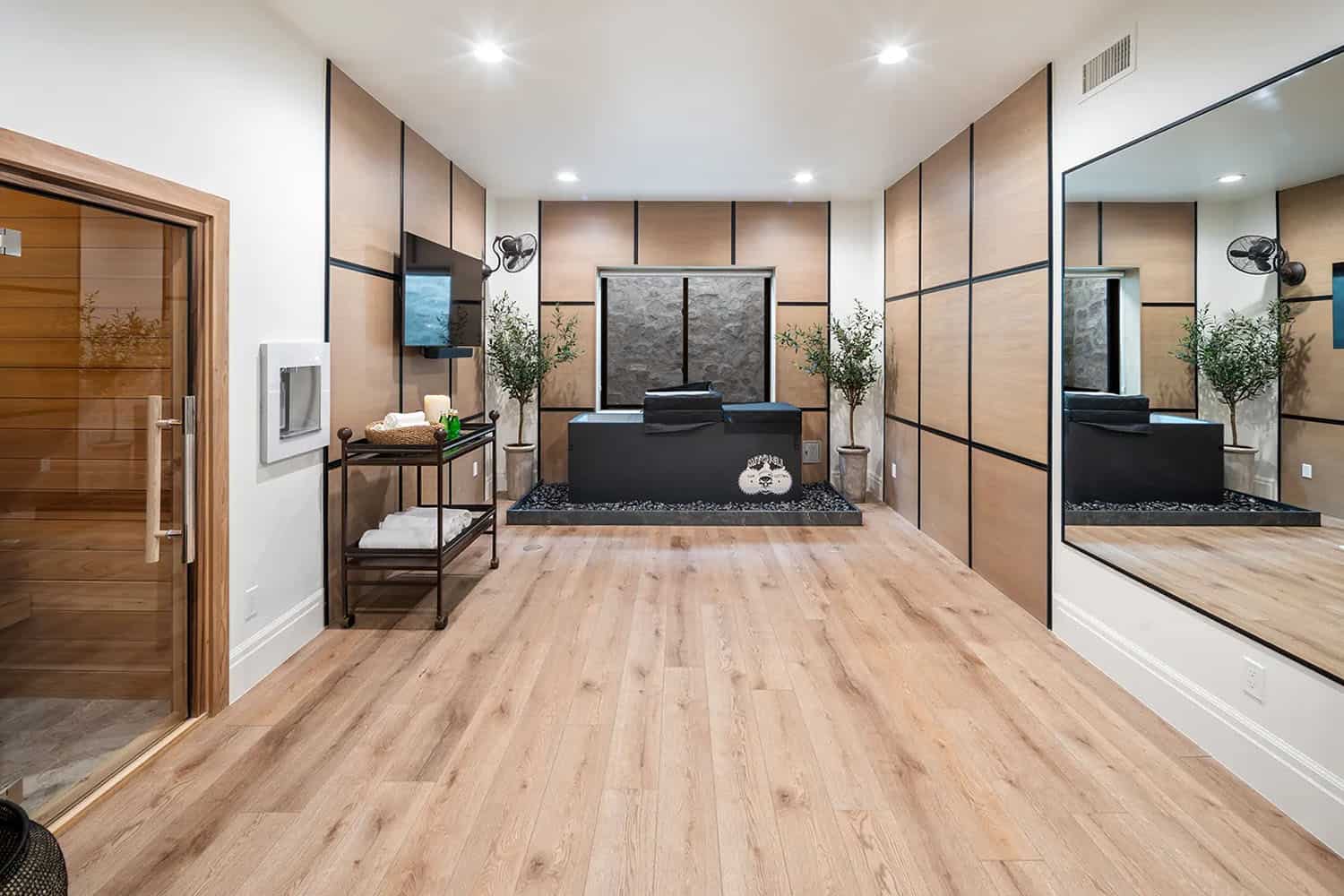 modern home gym
