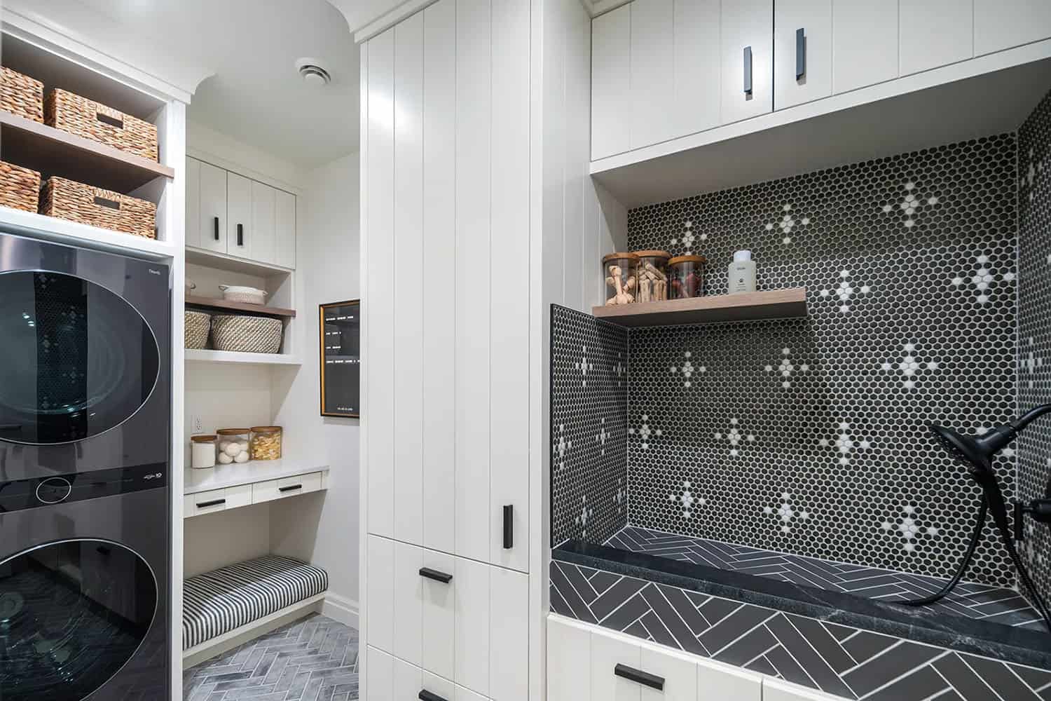 modern laundry room with a dog wash station