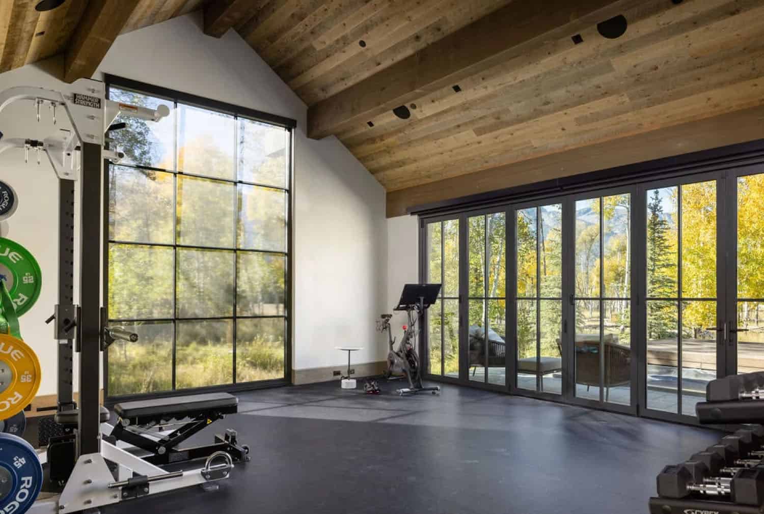 contemporary home gym
