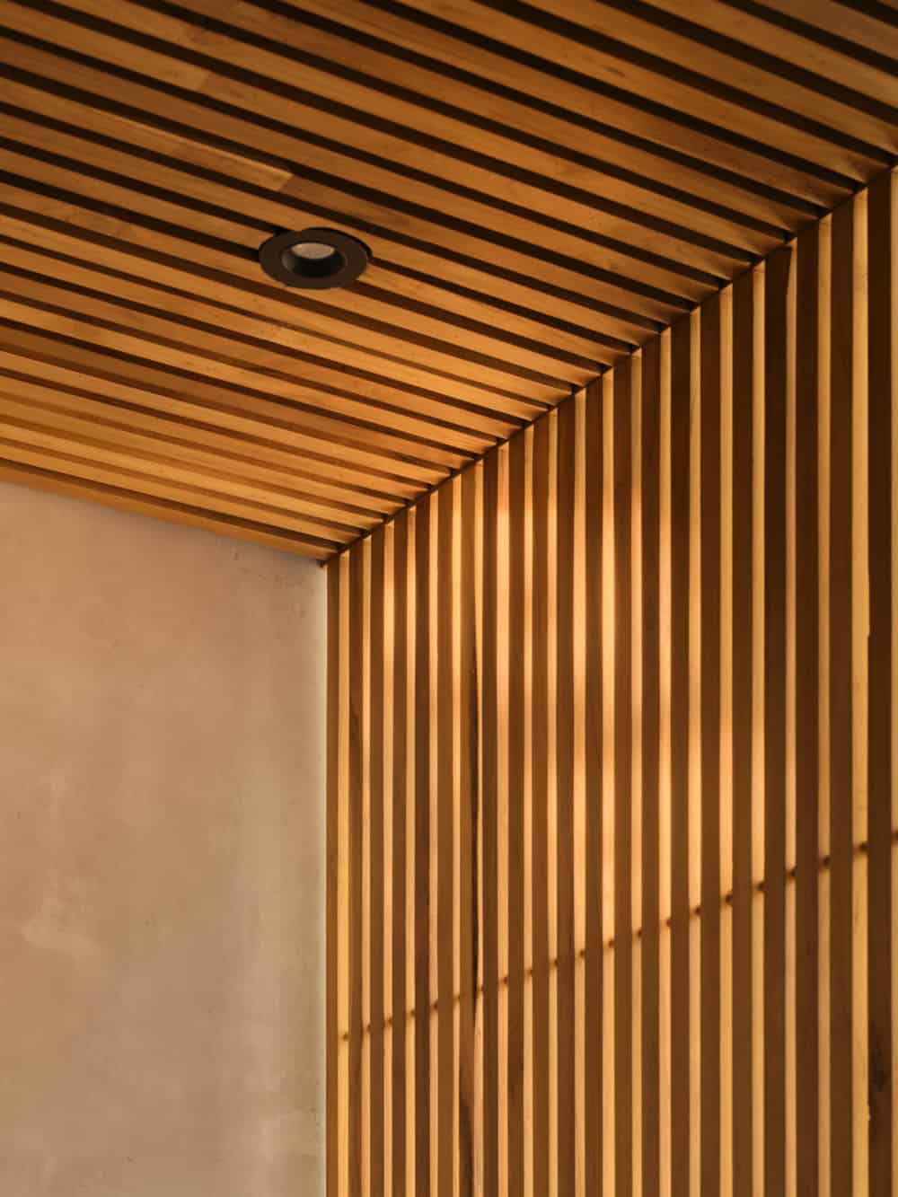 modern coastal style wood slat wall and ceiling detail in the bathroom