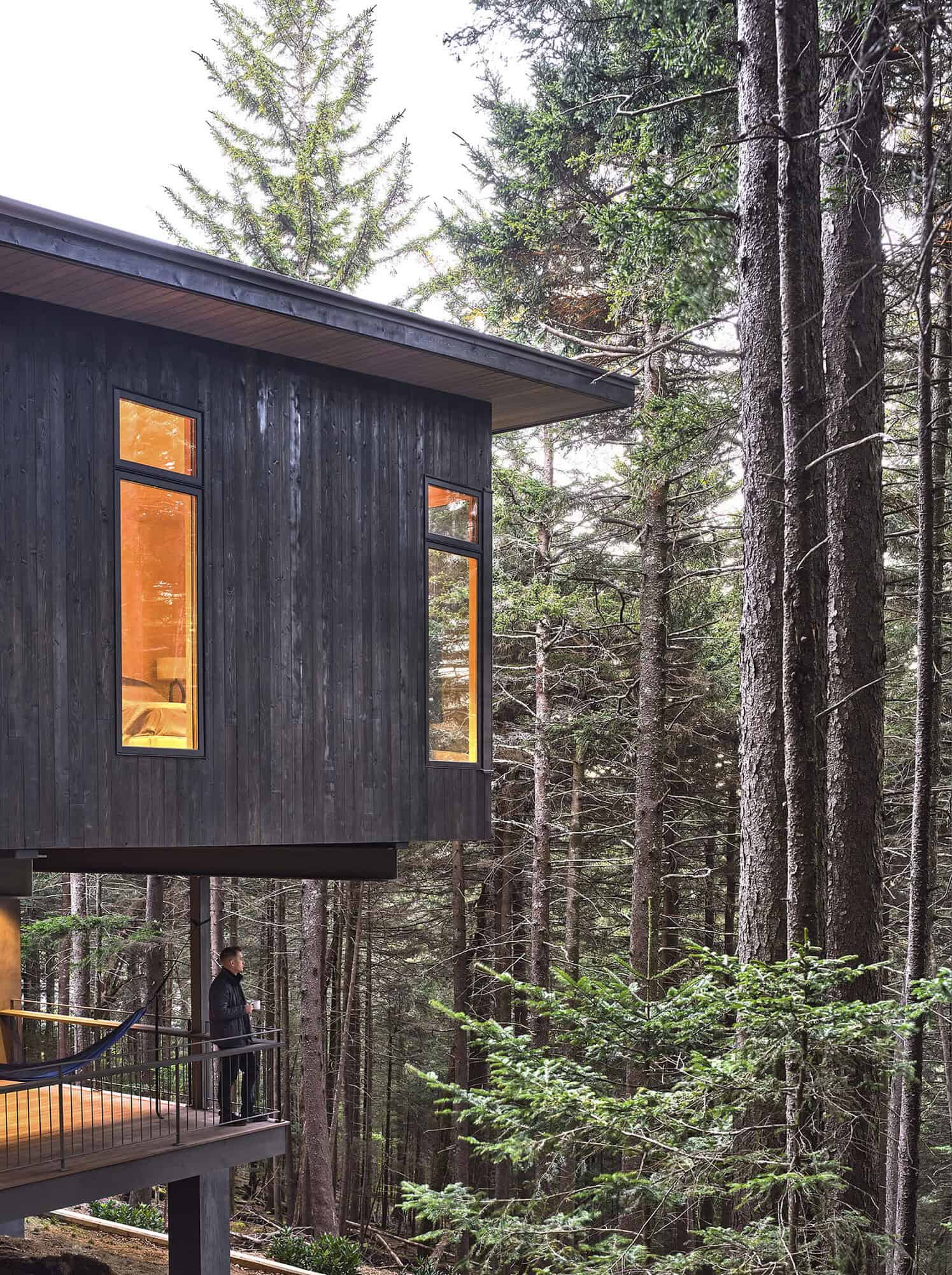 modern mountain cabin exterior