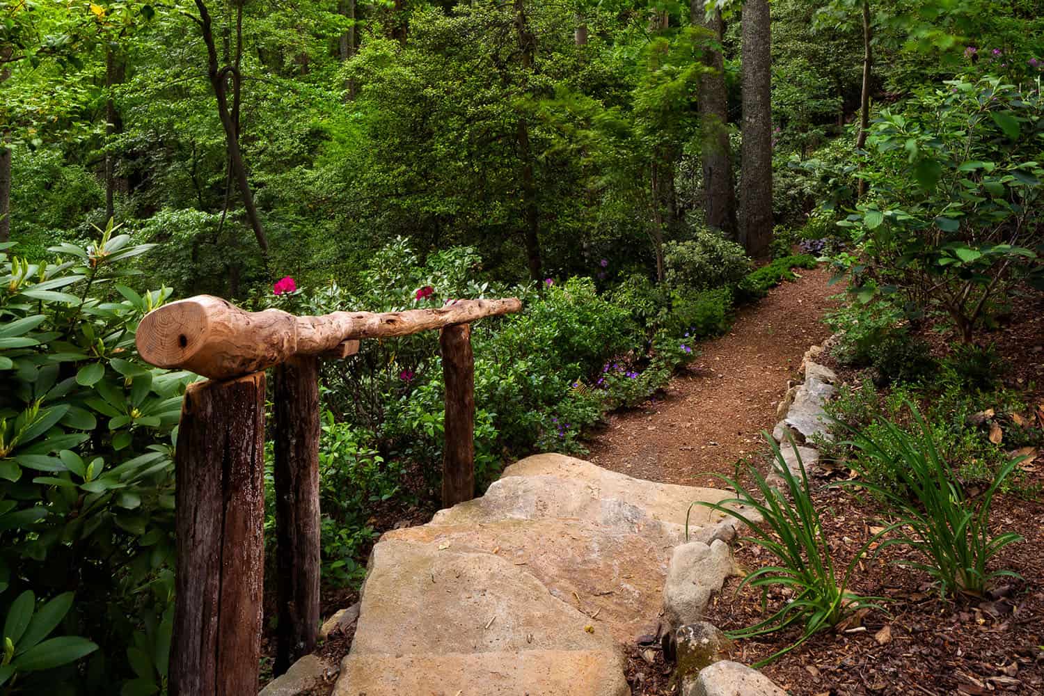 modern rustic mountain home exterior landscape with a walking trail