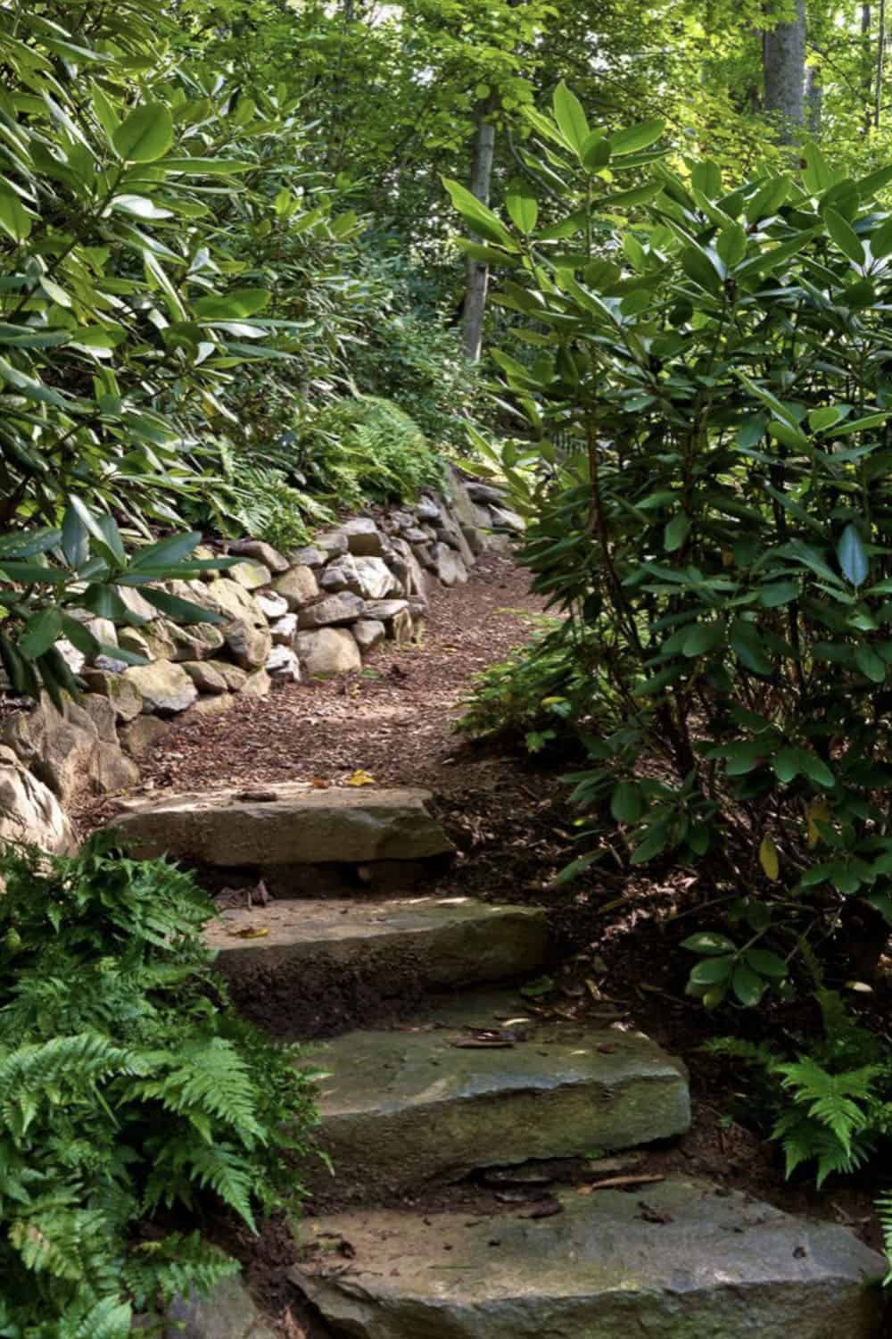 modern rustic mountain home exterior landscape with a pathway