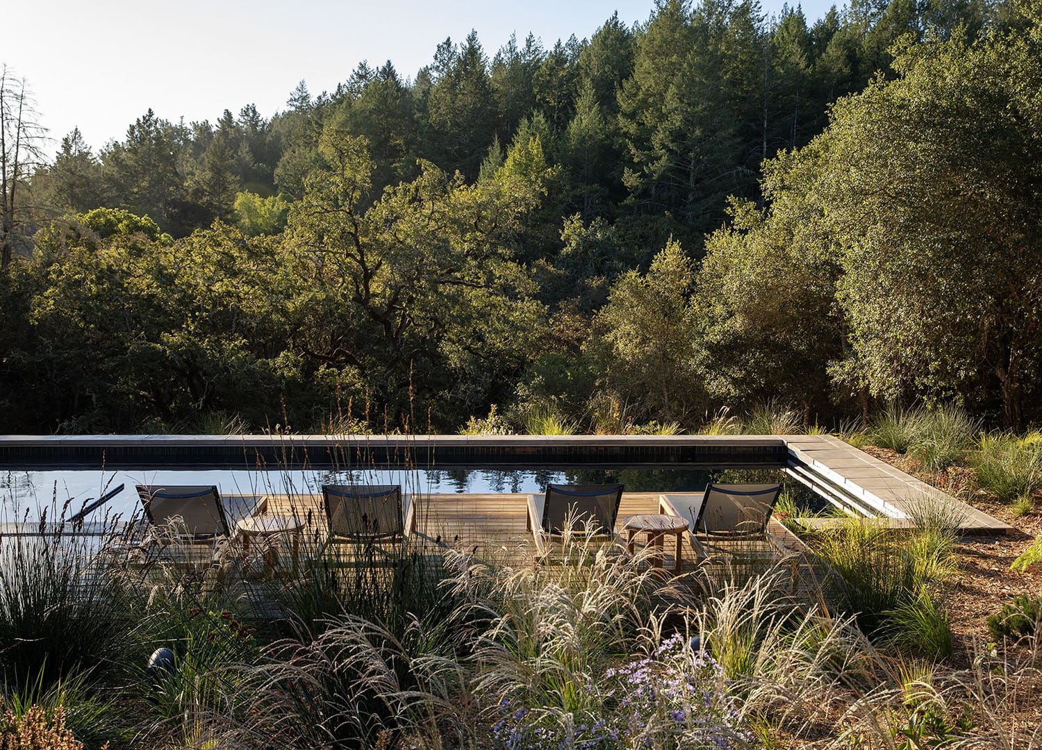 modern farmhouse home exterior with a pool