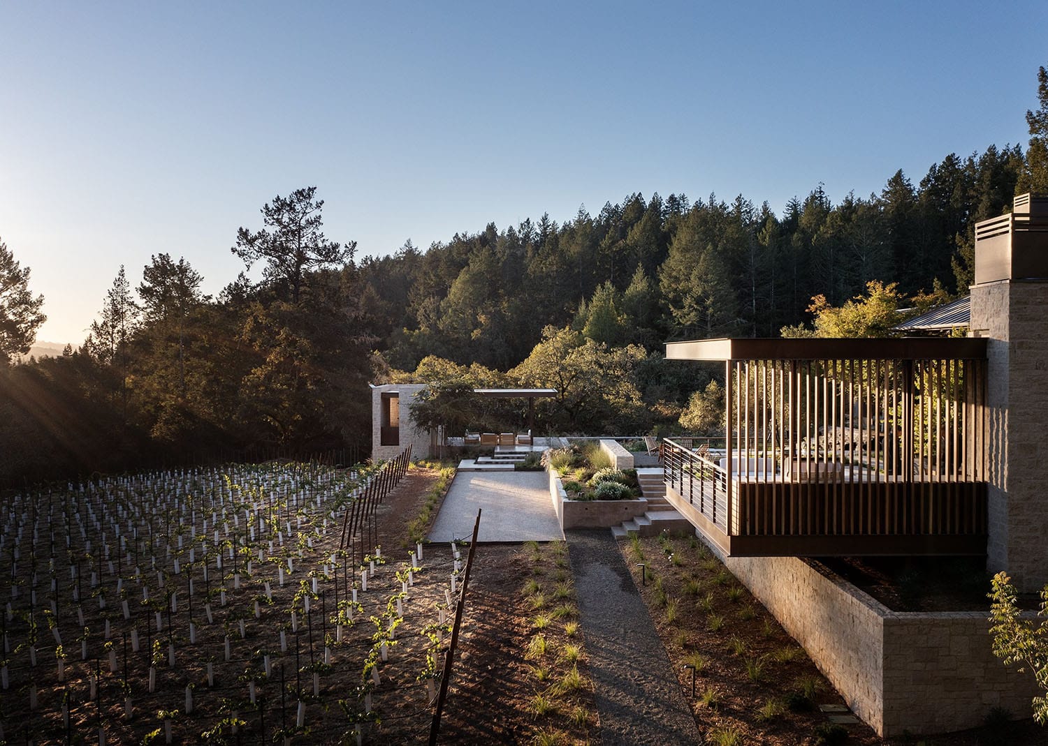 modern farmhouse home exterior with vineyard views