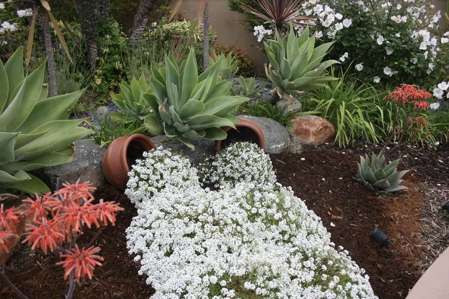 spilled flower pots