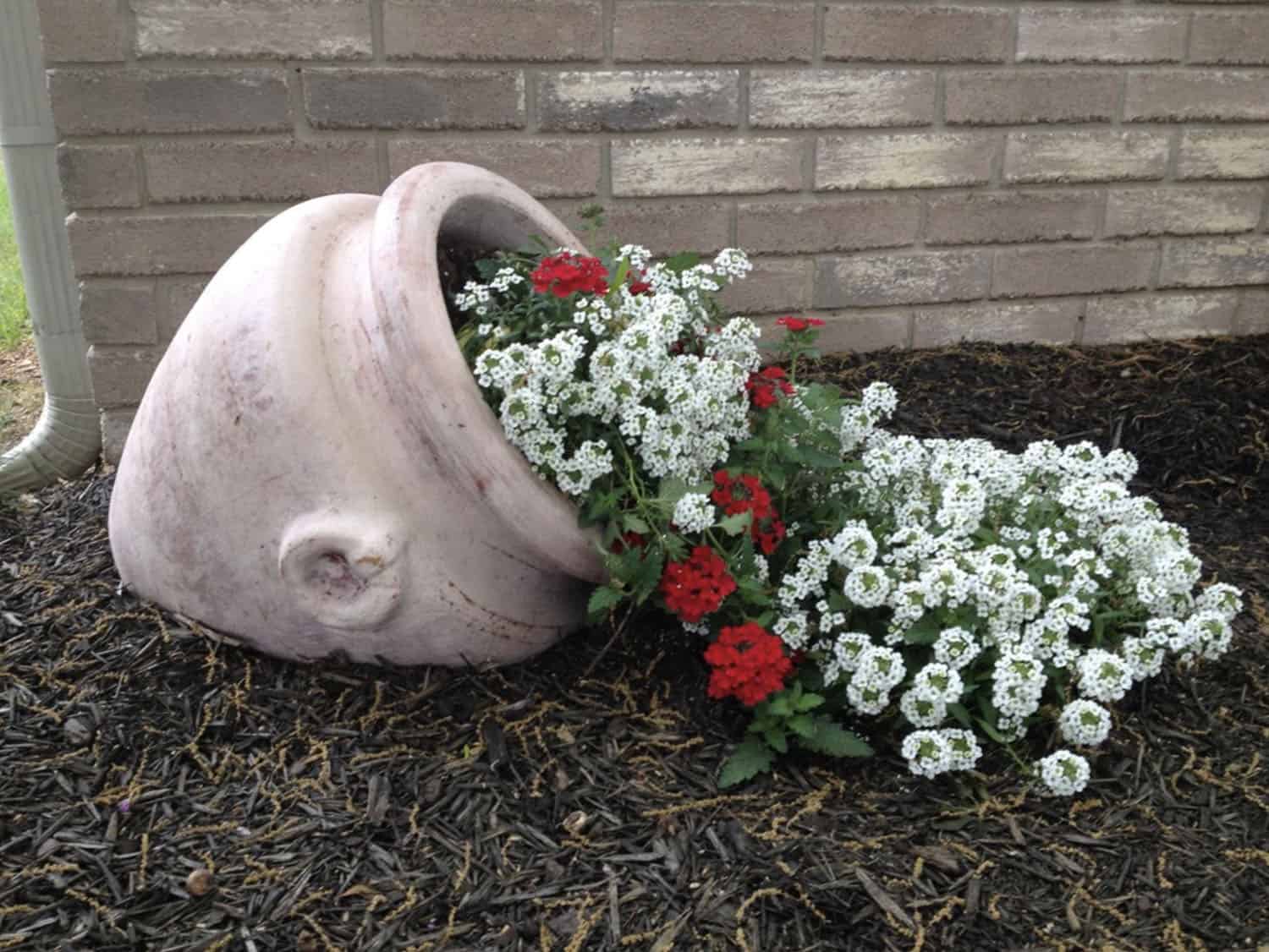 overflowing flowers from a toppled pot