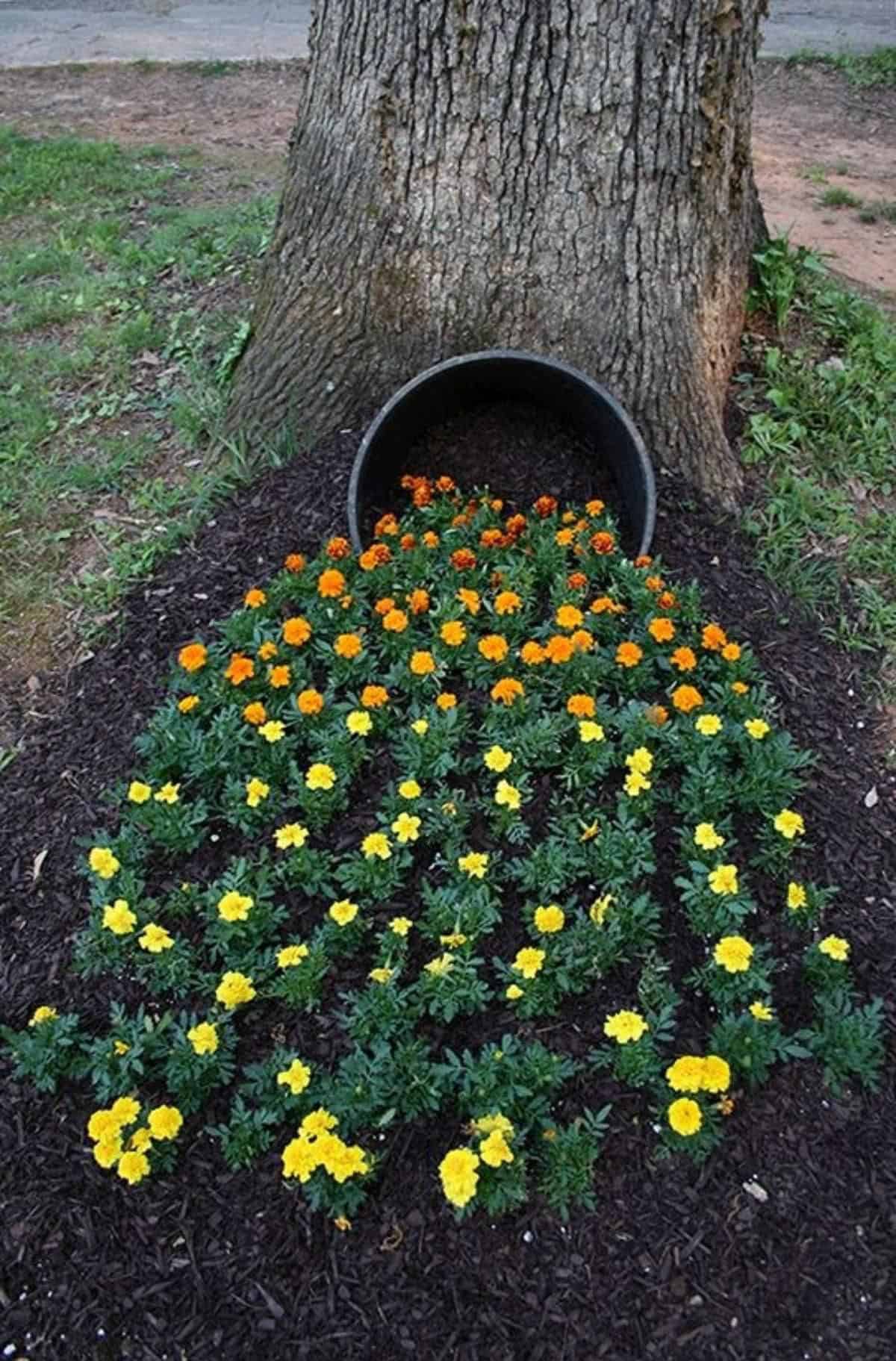 spilled flower pot set against a tree trunk