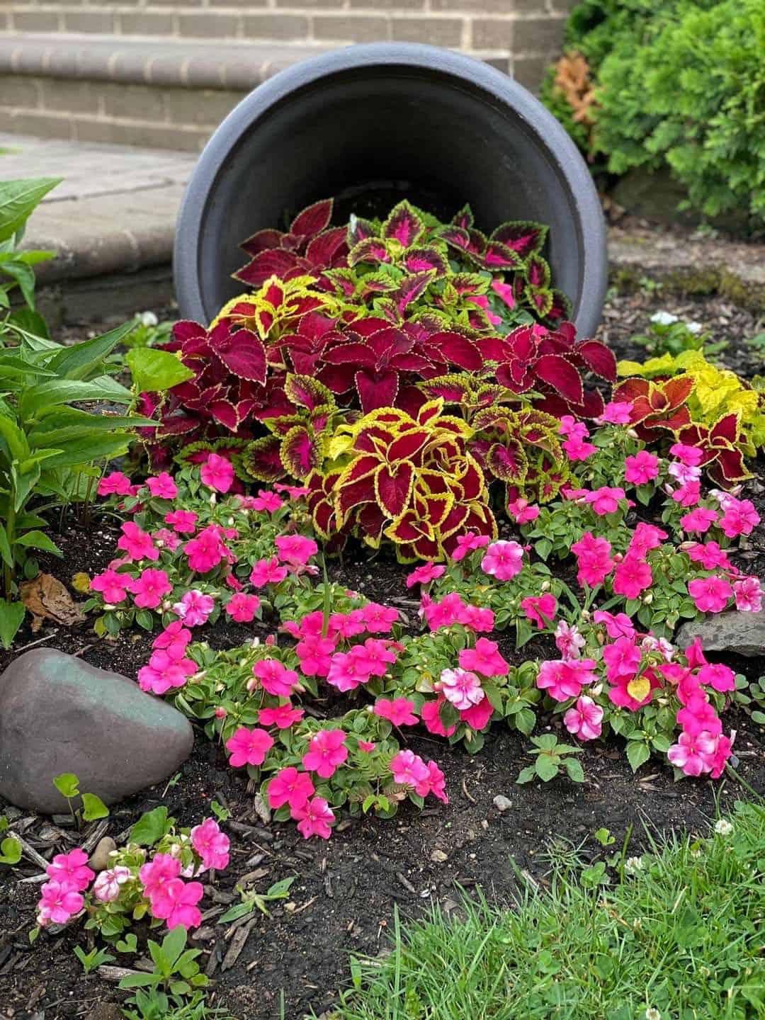 spilled flower pot
