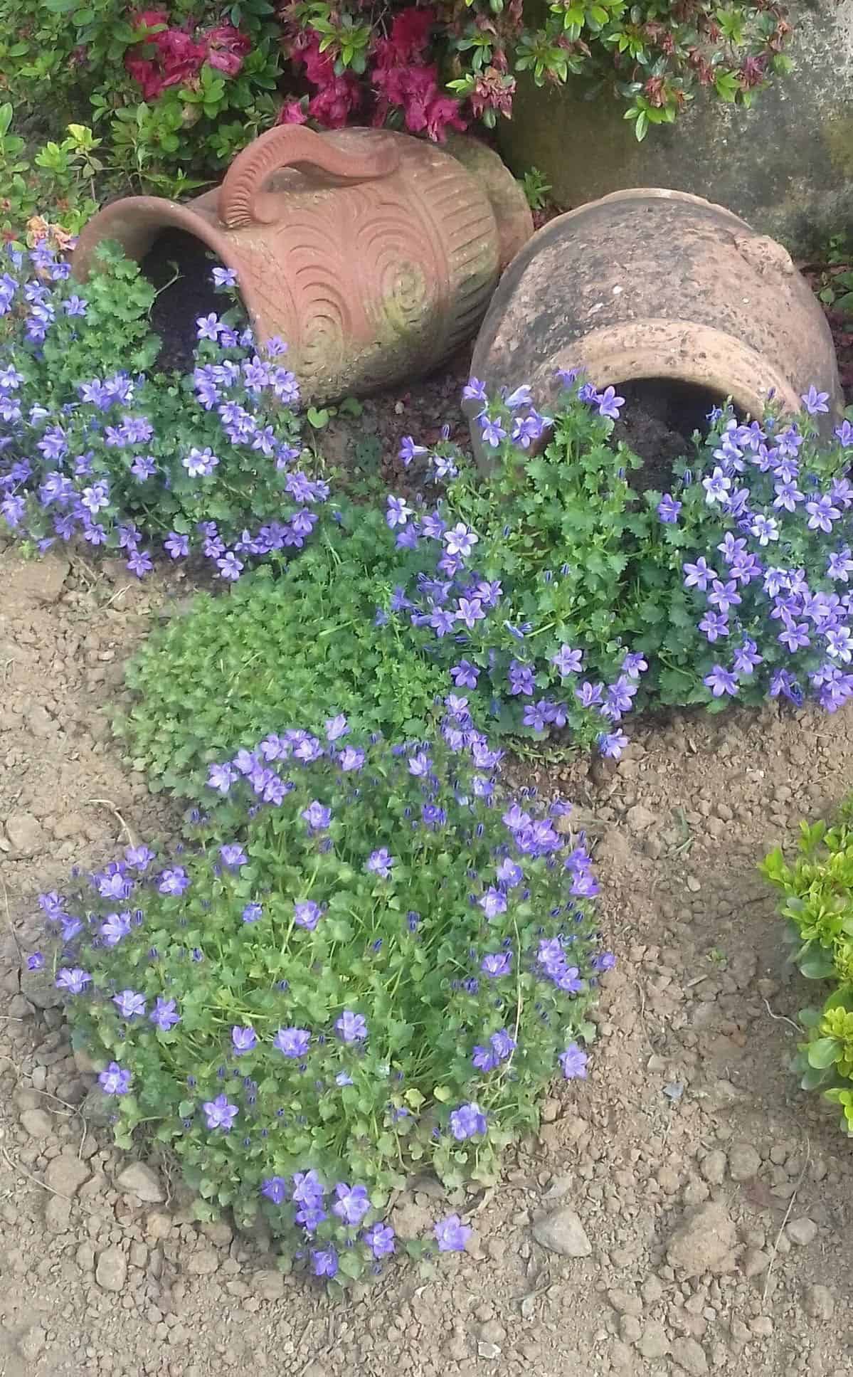 spilled flower pots