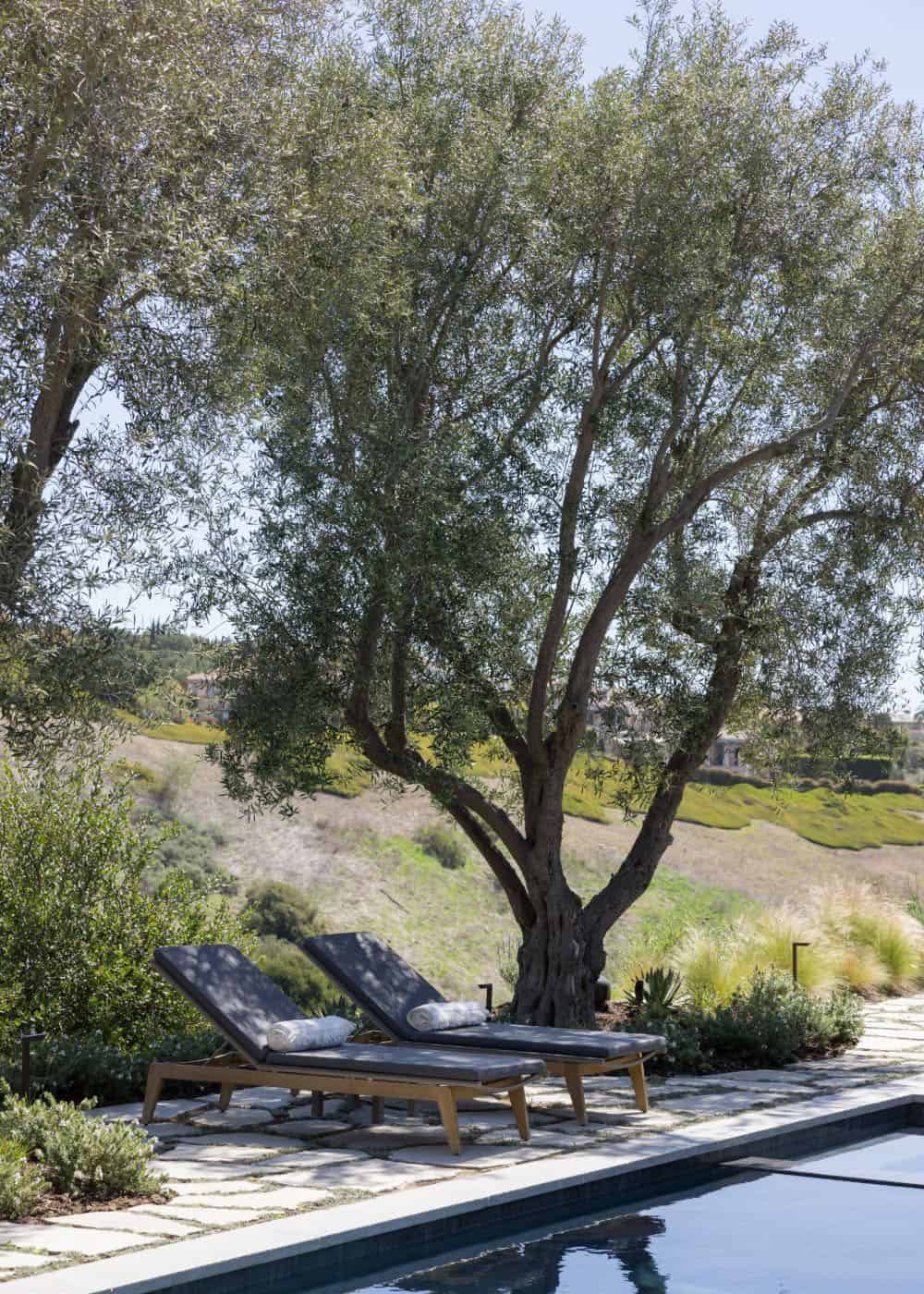 farmhouse style home exterior with a pool and chaise lounges