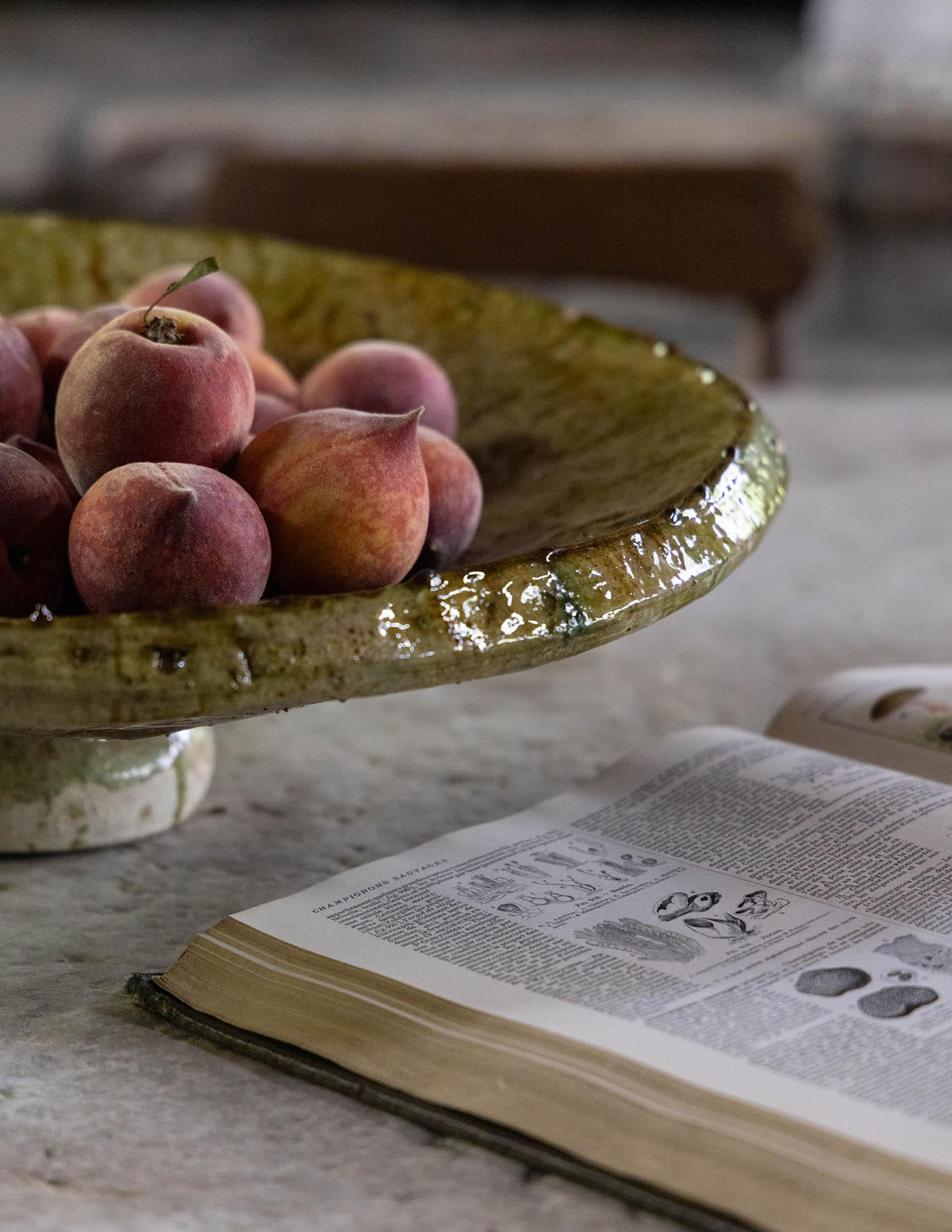 transitional style screened porch coffee table detail with a bowl