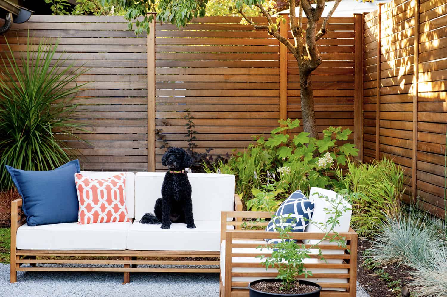 mid century courtyard with an ipe fence and outdoor furniture