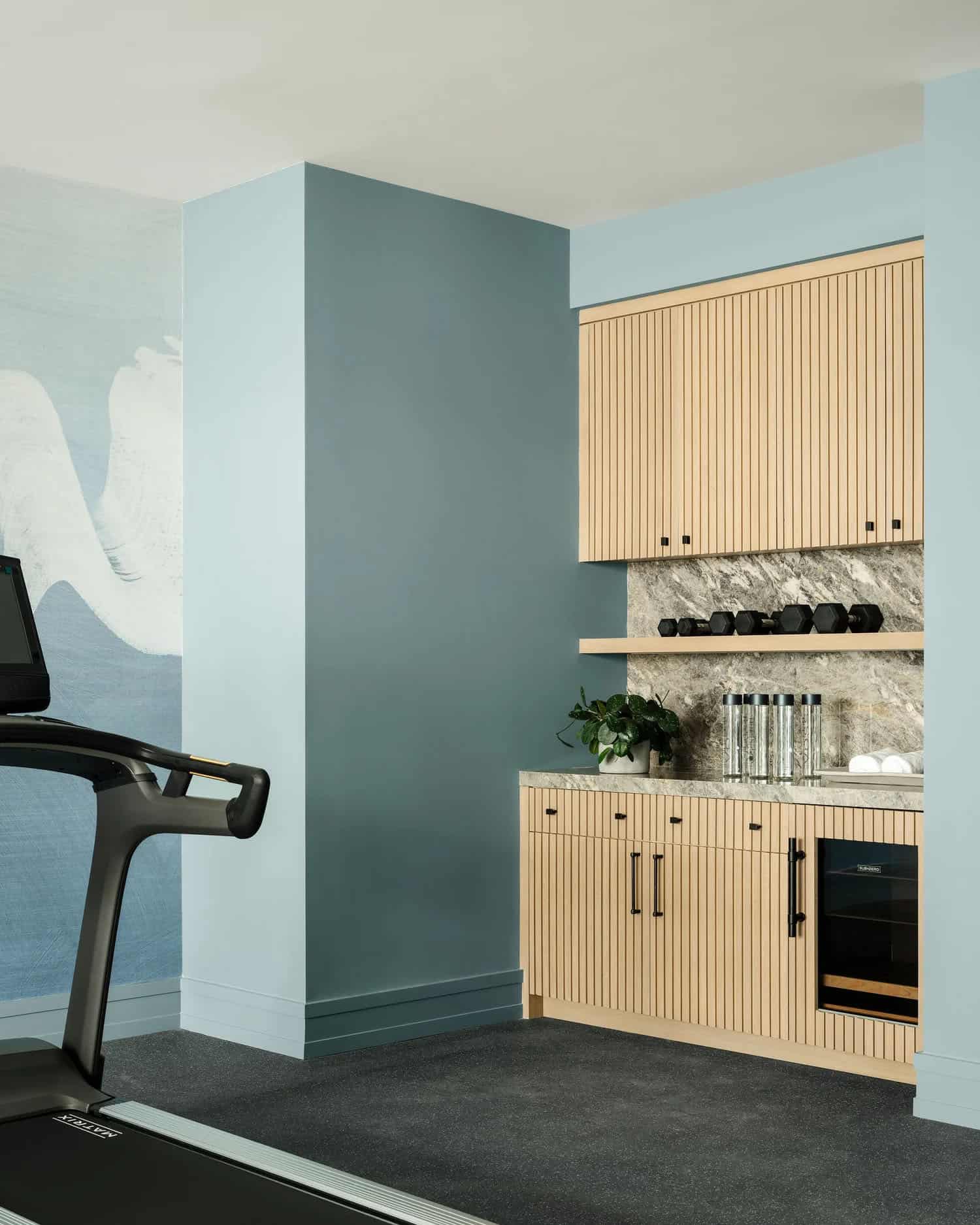 organic modern home gym