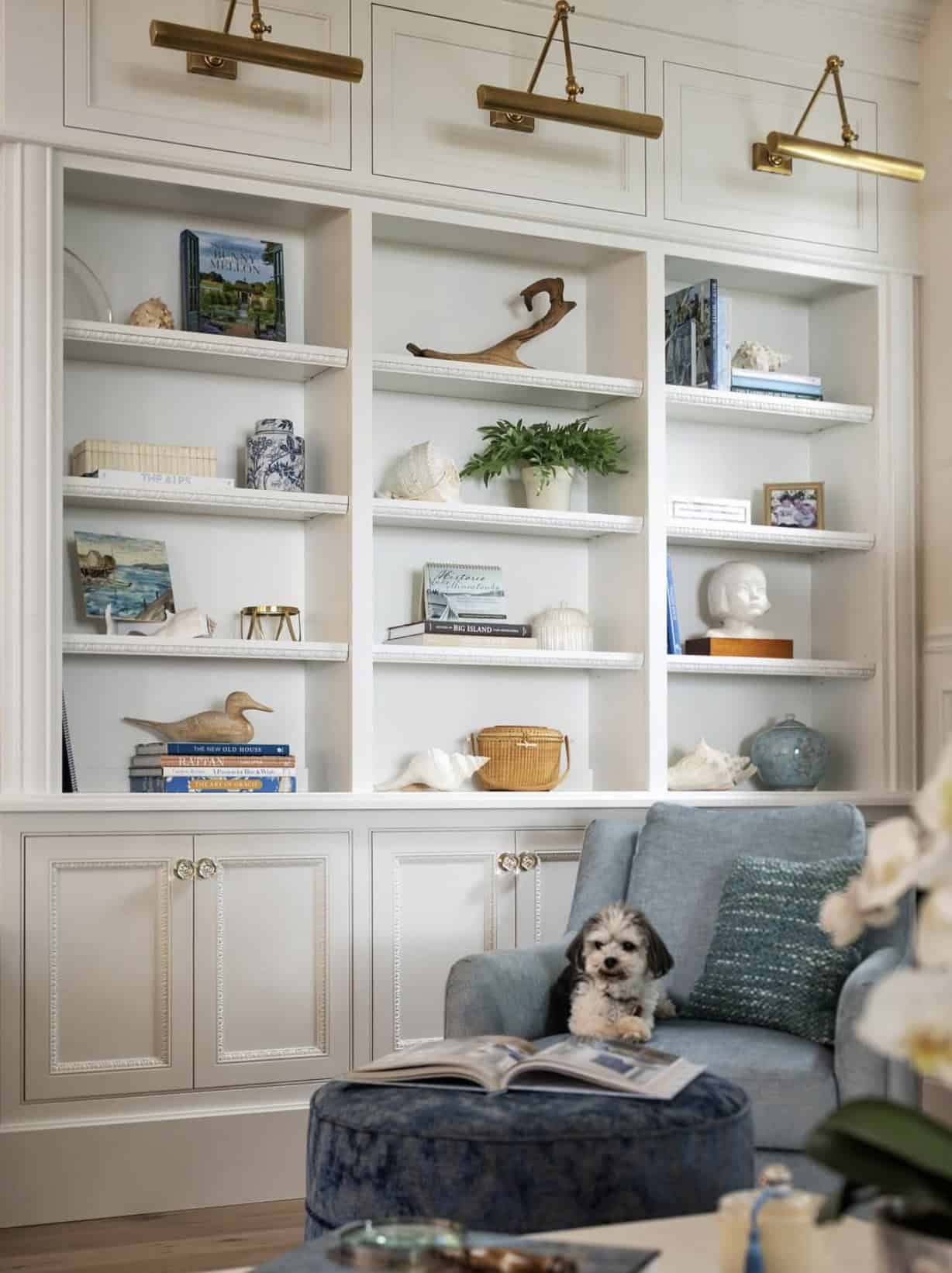 coastal cottage-style living room with built-in bookshelves
