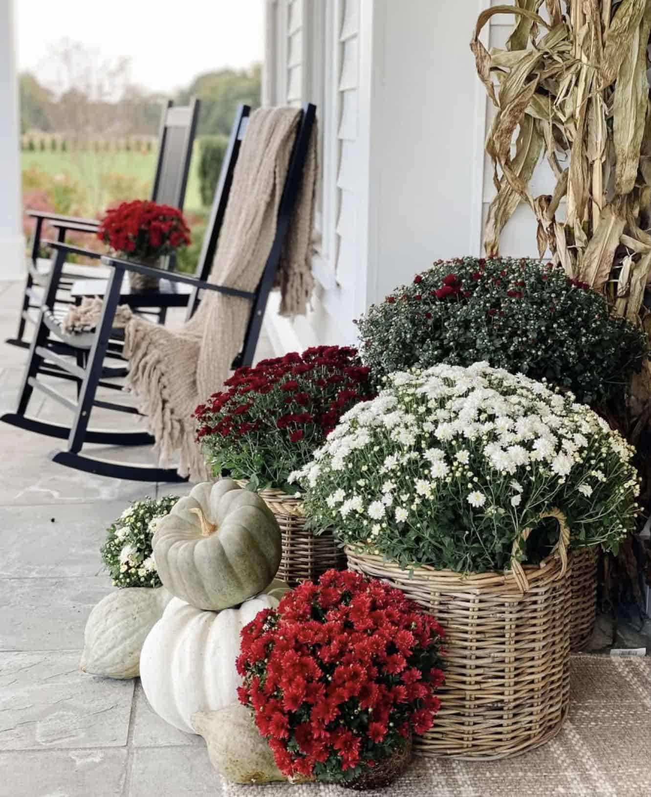 fall decorated front porch with pumpkins and mums
