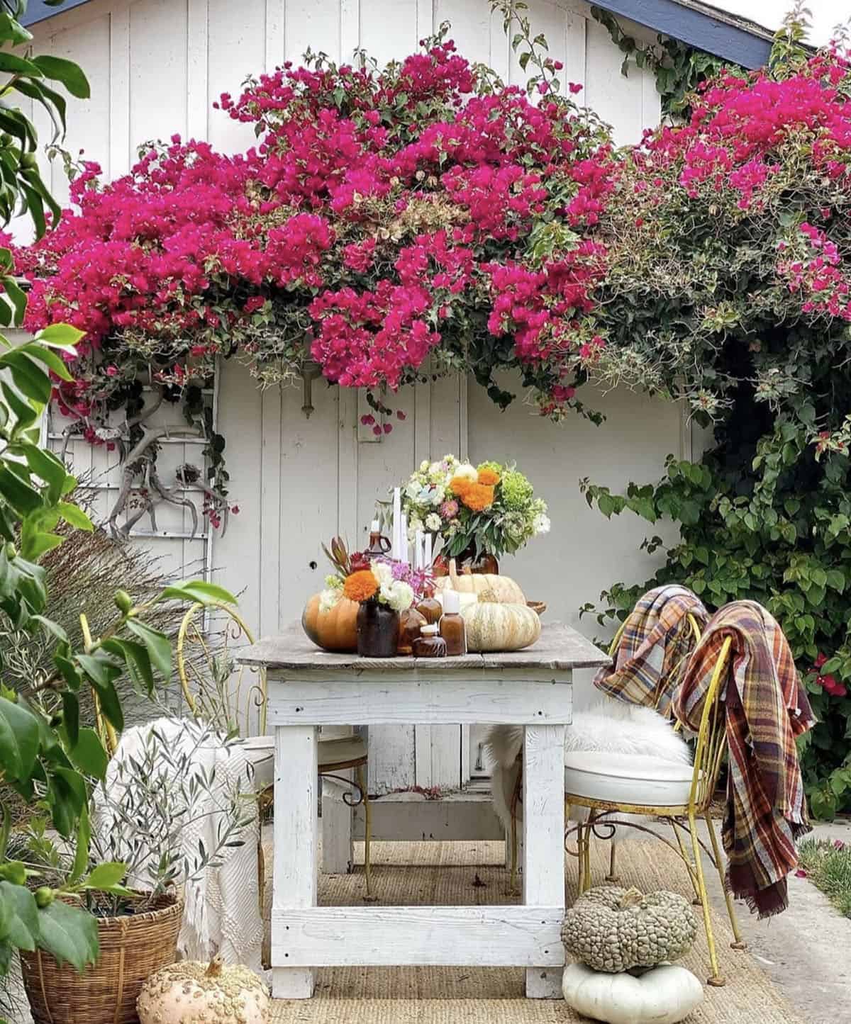 outdoor dining with fall decorations