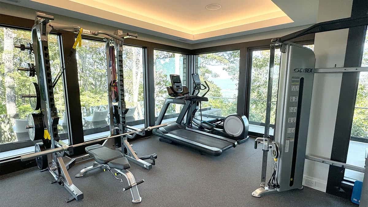 contemporary home gym