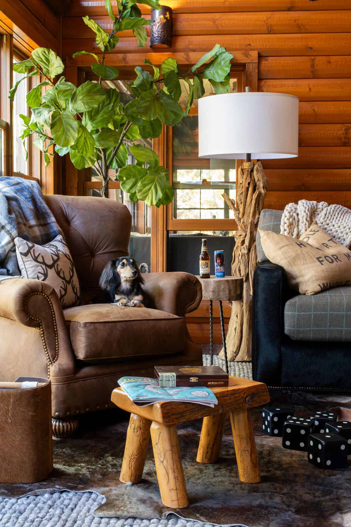 rustic living room