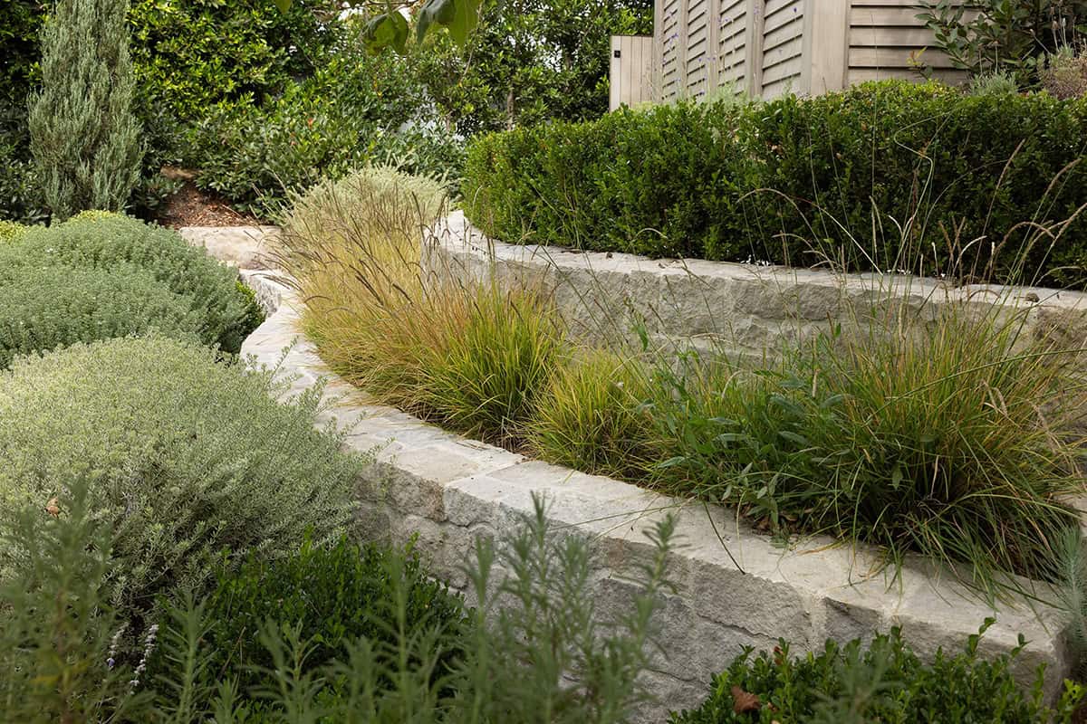 transitiional style home landscaping