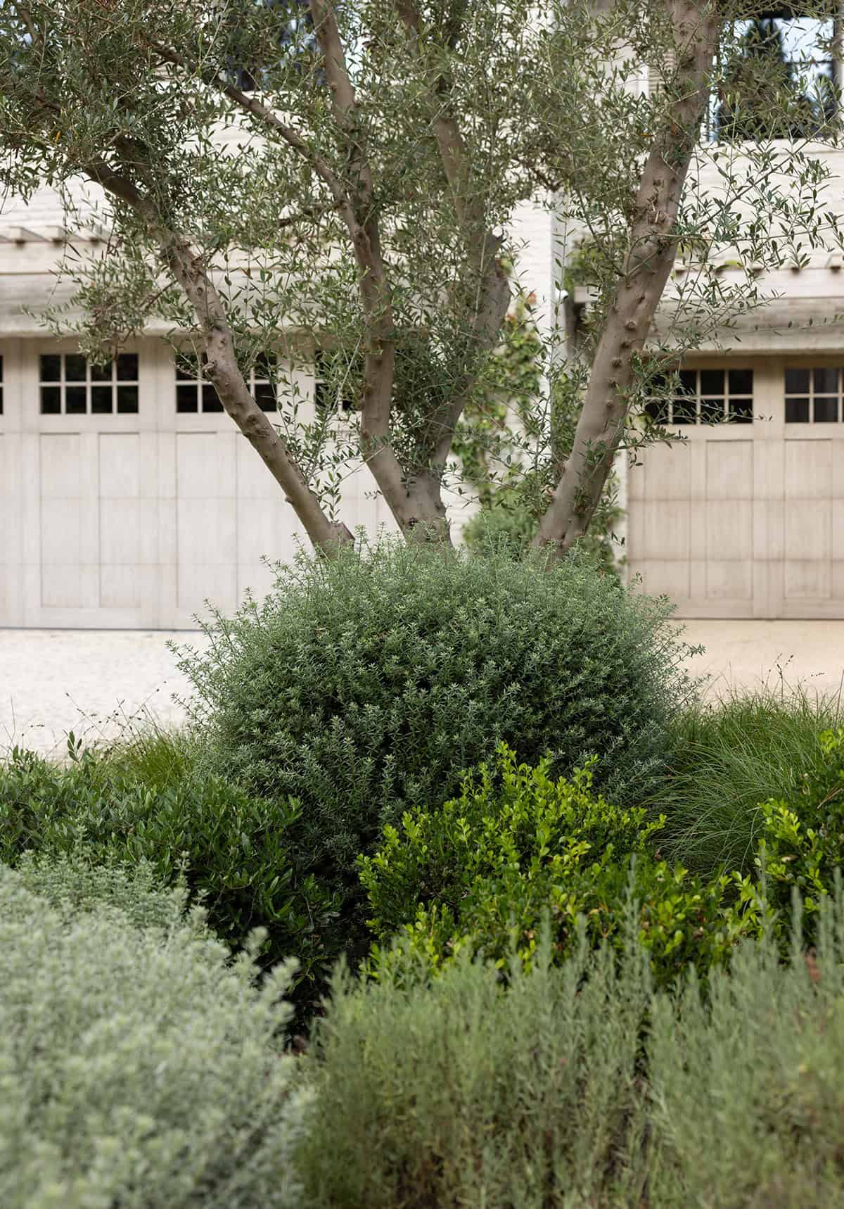 transitiional style home landscaping