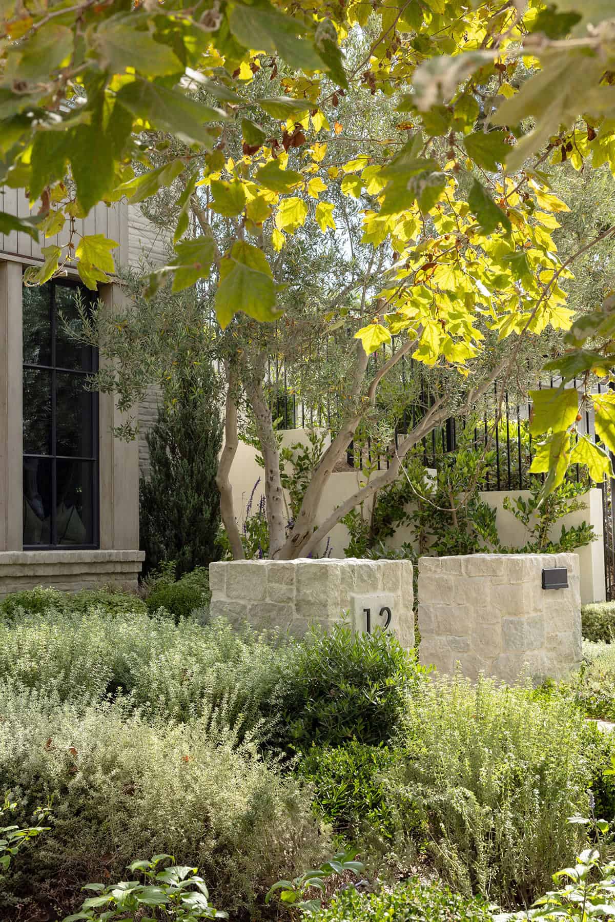transitiional style home landscaping