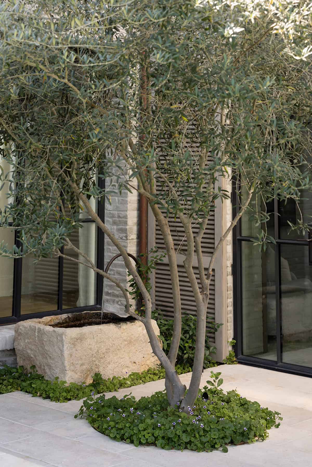 transitiional style home landscaping
