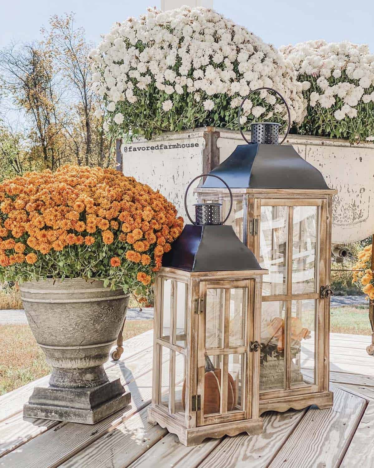 glass lanterns with fall decor and mums on the patio