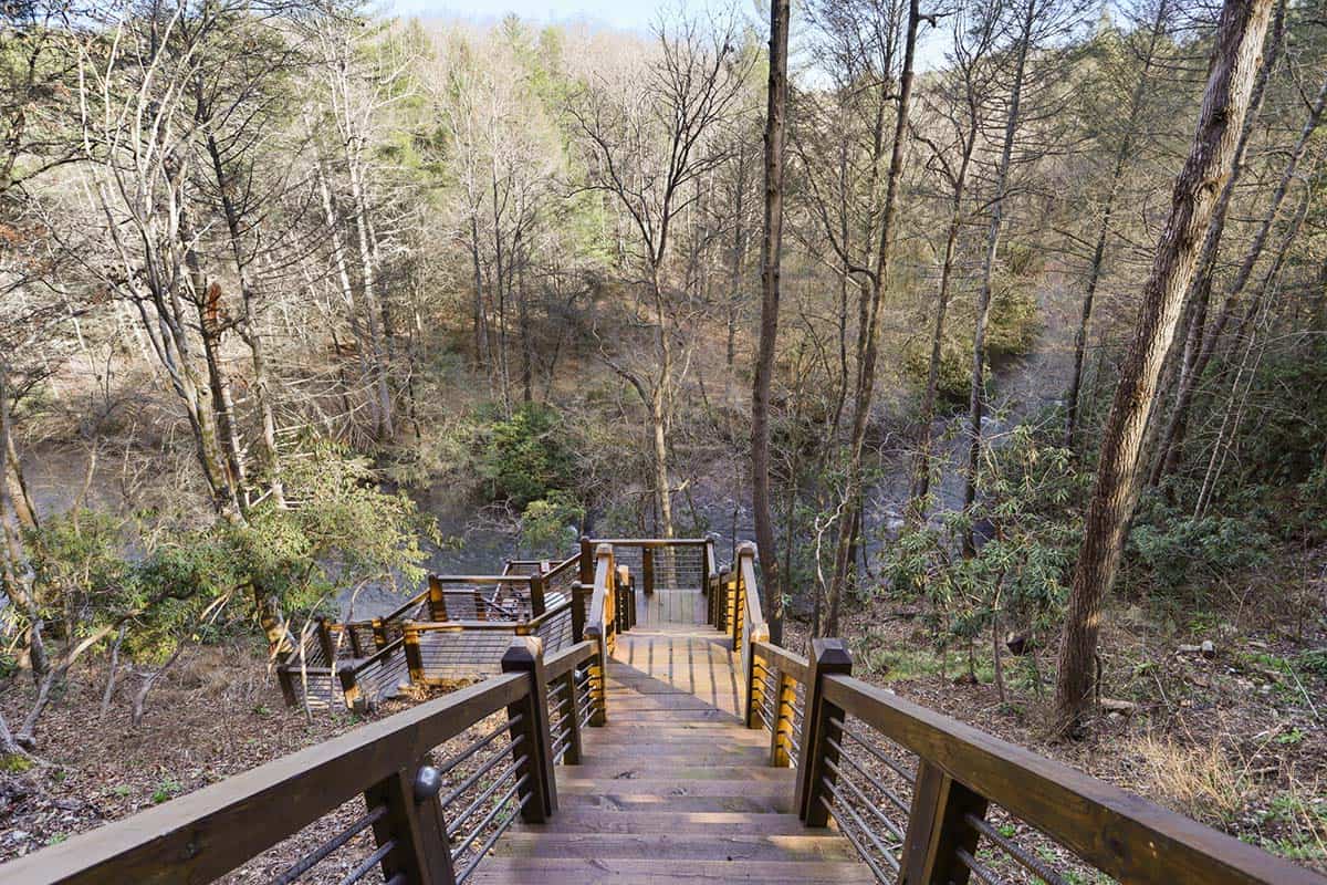 modern rustic log frame cabin exterior with a pathway down to the river