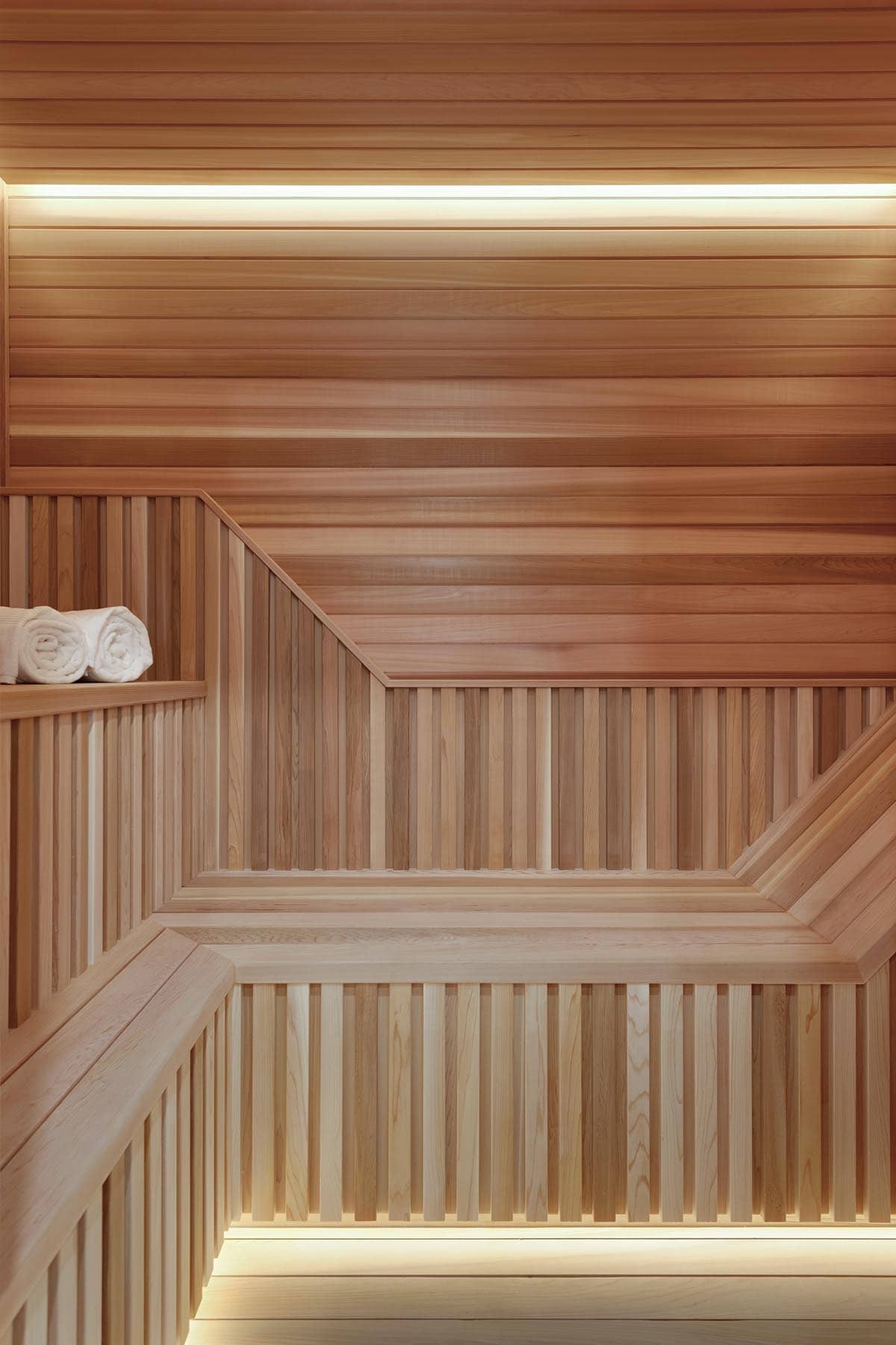 modern basement level with a sauna