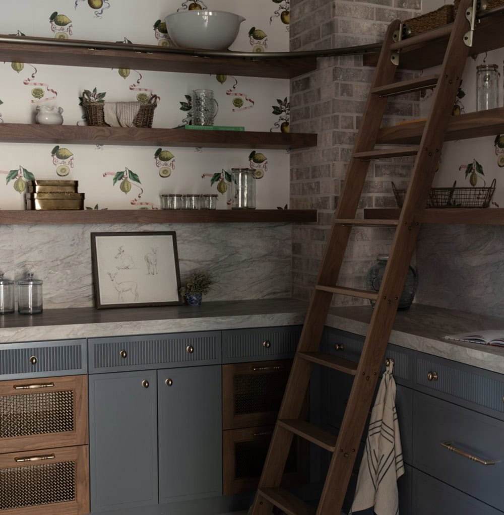 contemporary pantry with a rolling ladder