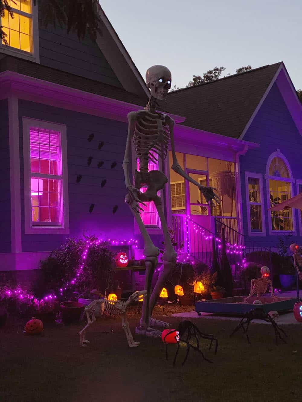 outdoor haloween decor with a huge skeleton and purple lights at night