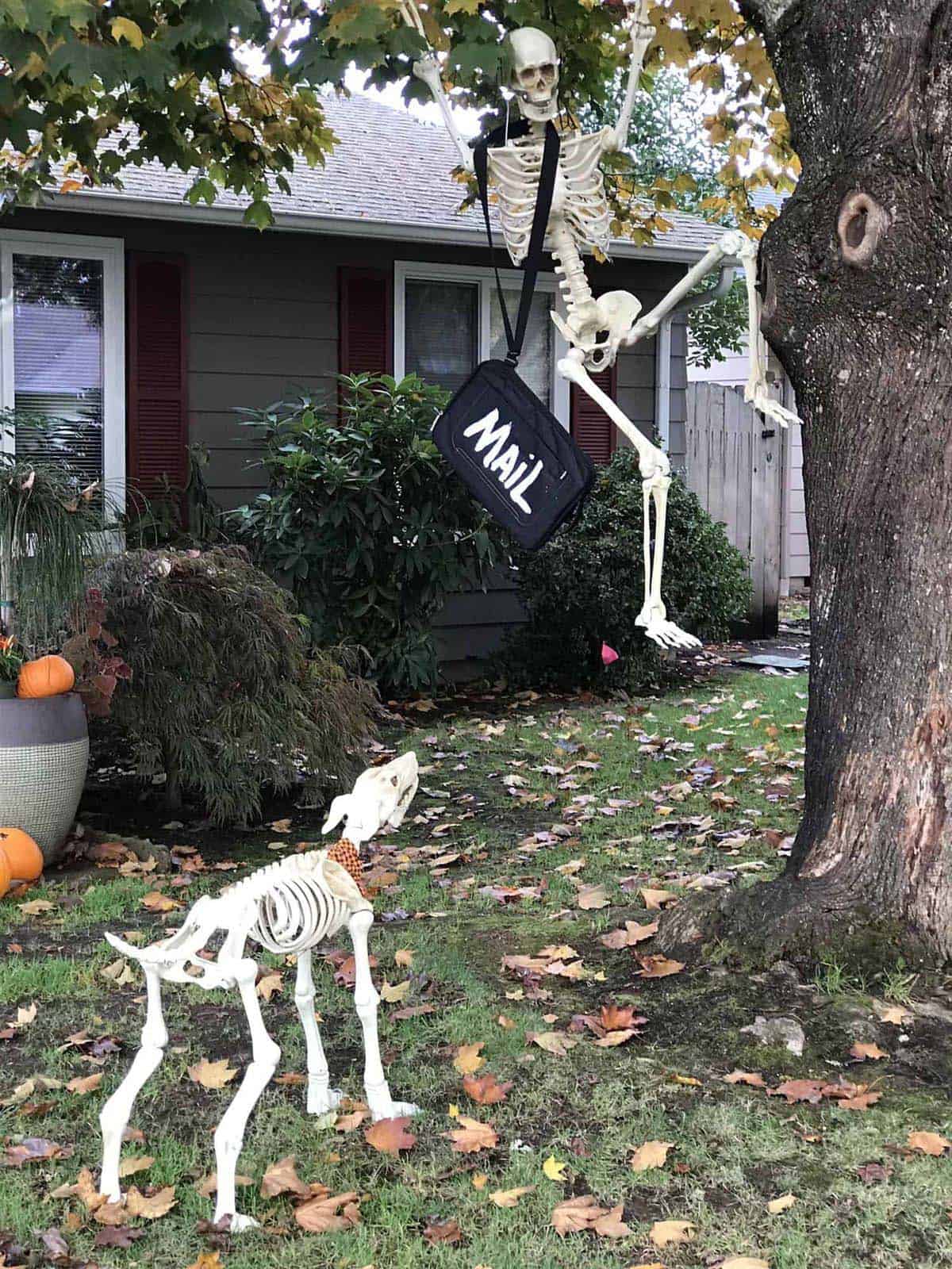 mailman skeleton chased up a tree by a dog skeleton
