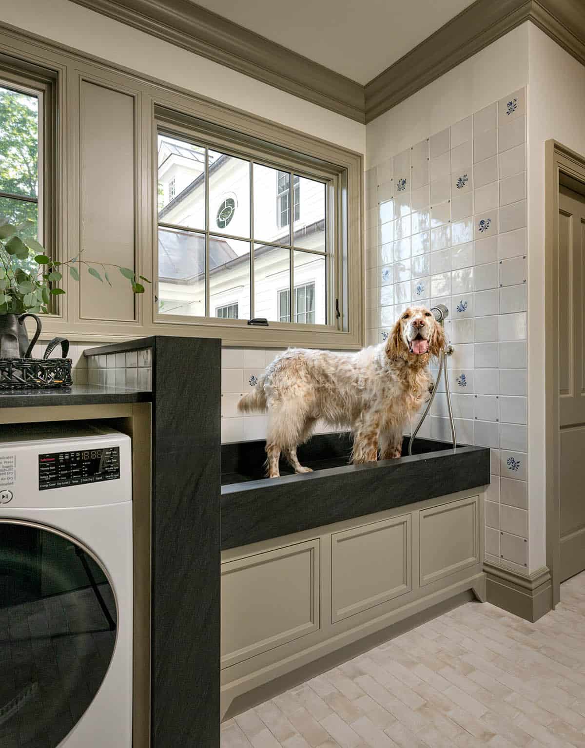modern farmhouse style laundry room with a dog wash station
