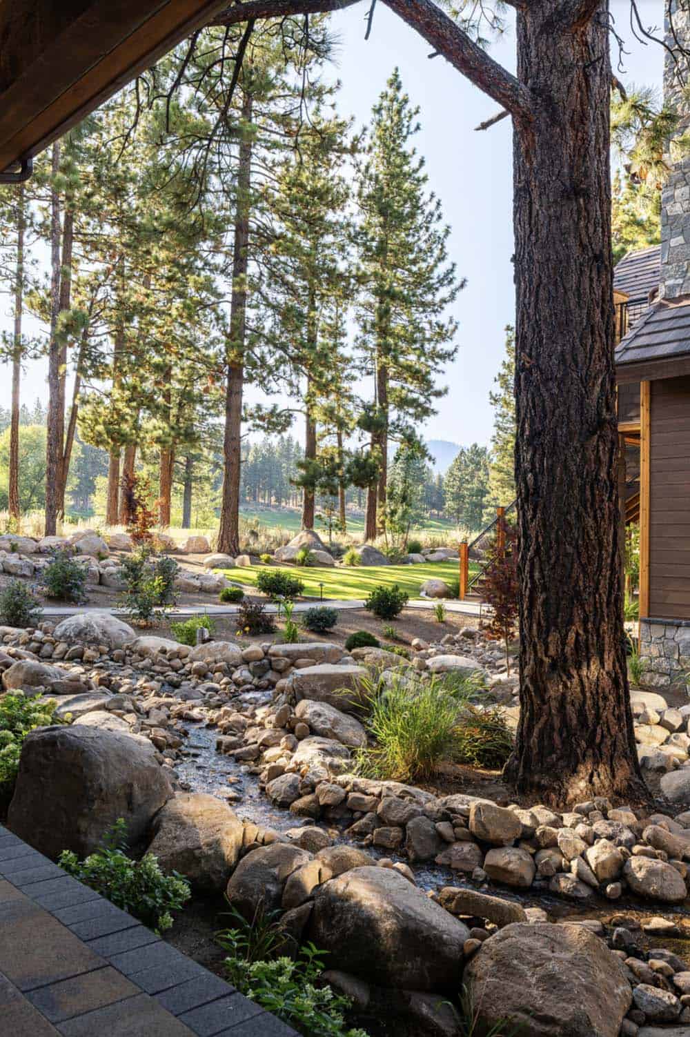 Contemporary Landscape