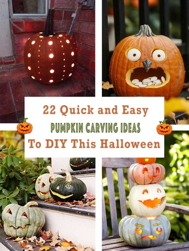 22 Quick and Easy Pumpkin Carving Ideas to DIY This Halloween