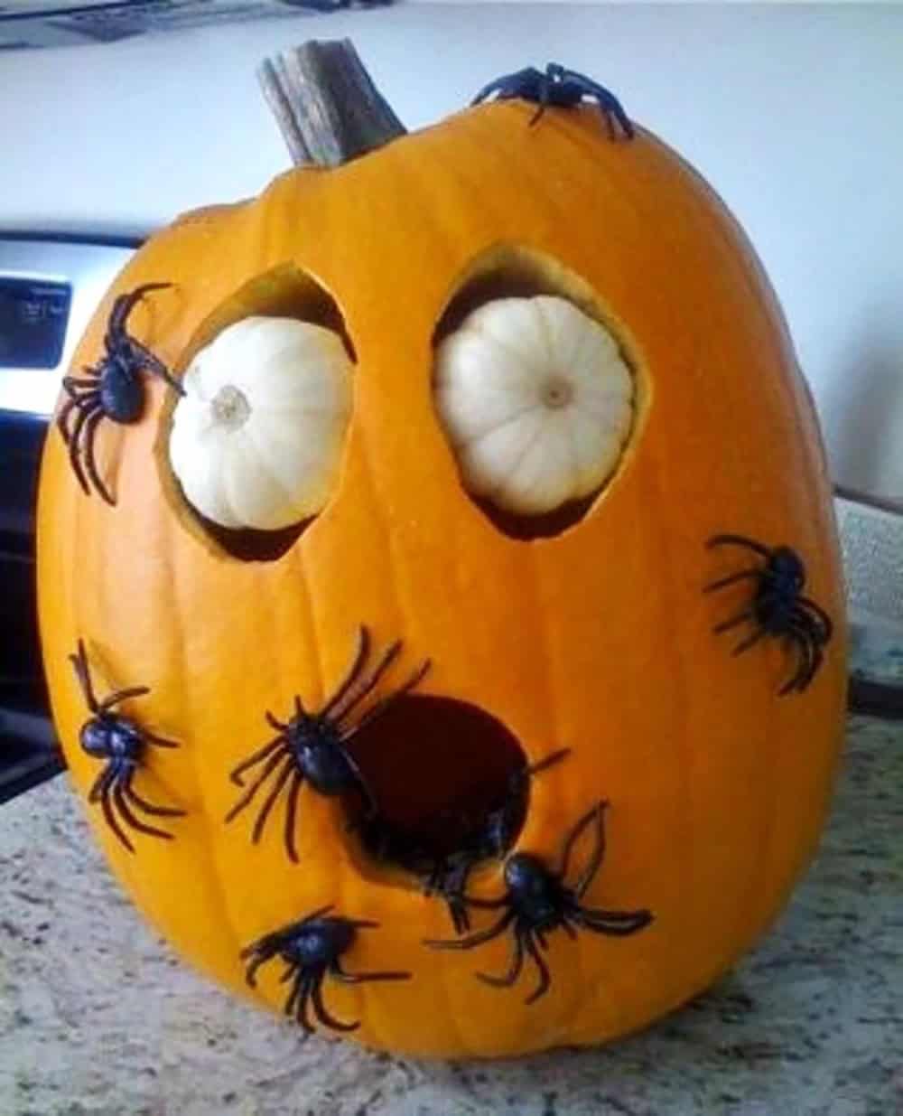 halloween pumpkin faces with spooky spiders