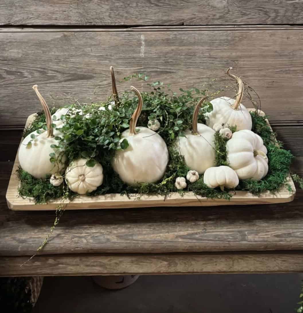 pumpkin and moss tray