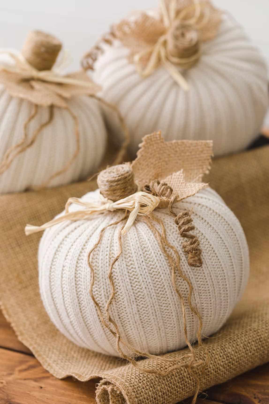 sweater pumpkins