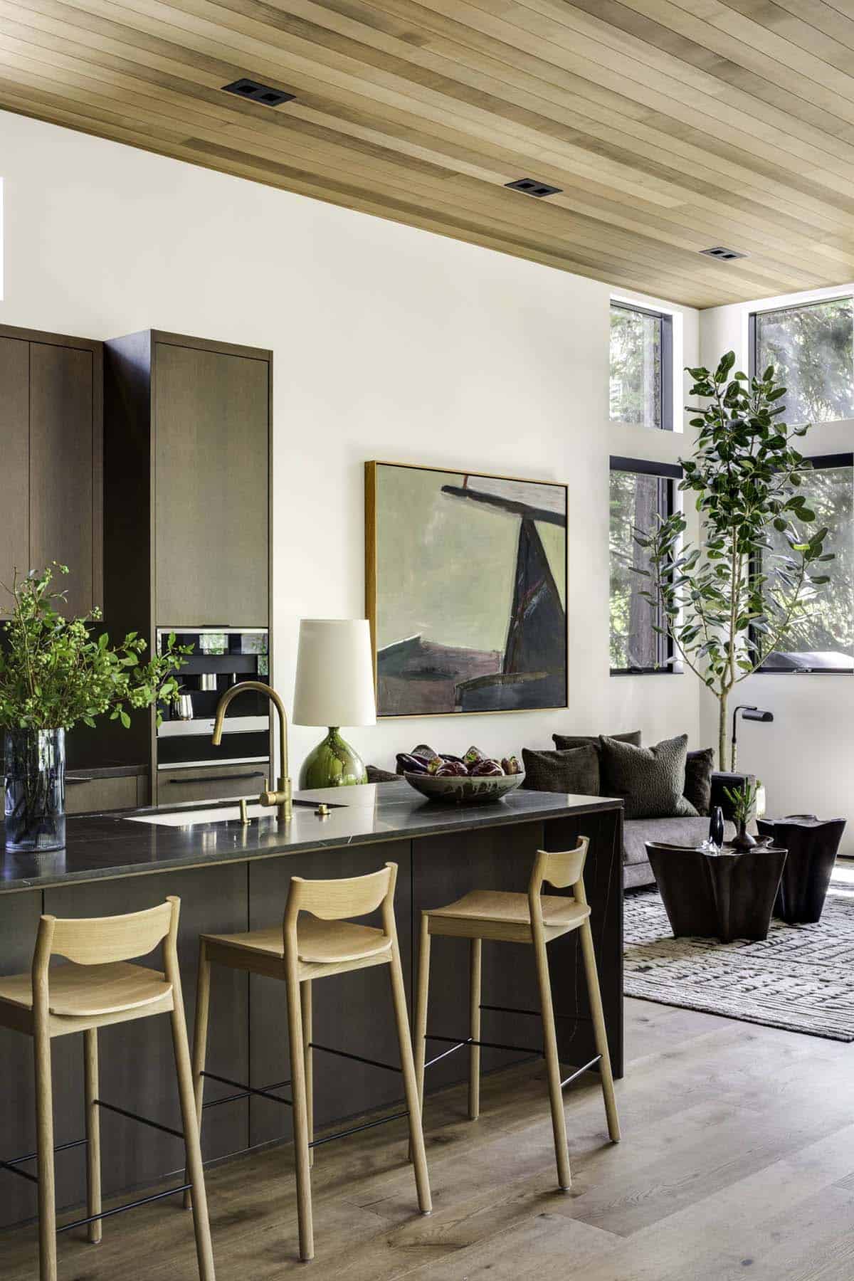 mountain modern kitchen and living room