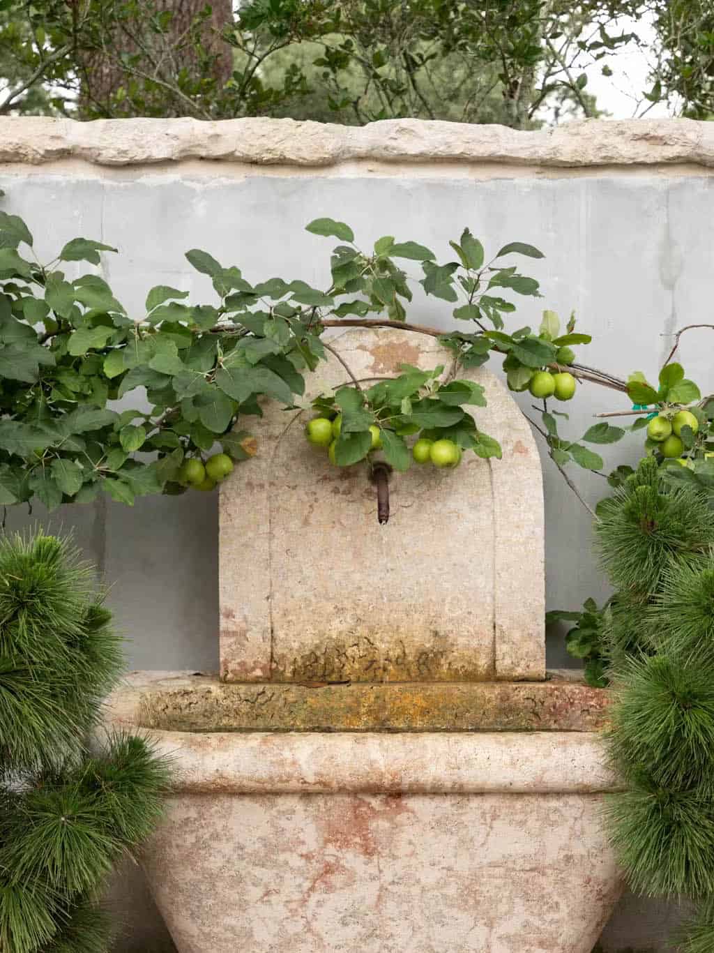 provencal-inspired home exterior landscape