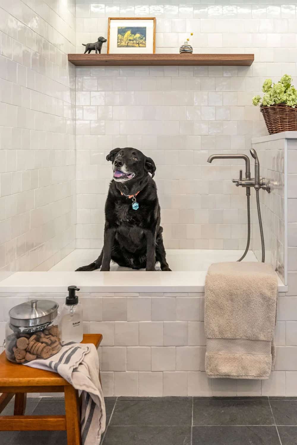 farmhouse style laundry room with a dog wash station