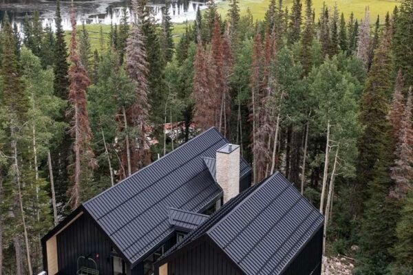 featured posts image for A modern Scandinavian mountain cabin in the woods of Big Cottonwood Canyon