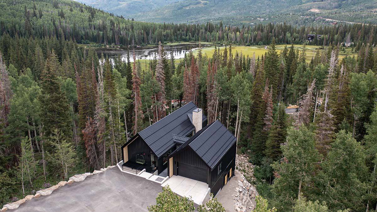 modern scandinavian mountain cabin exterior