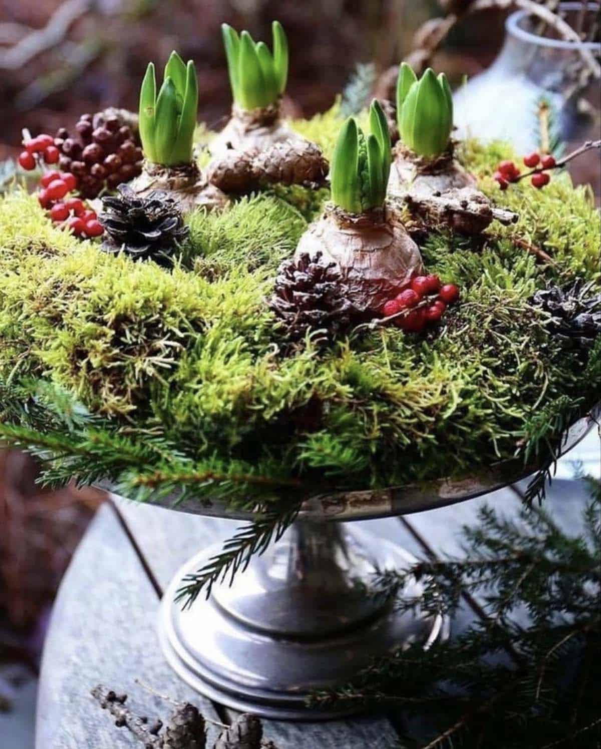 potted christmas table centerpiece