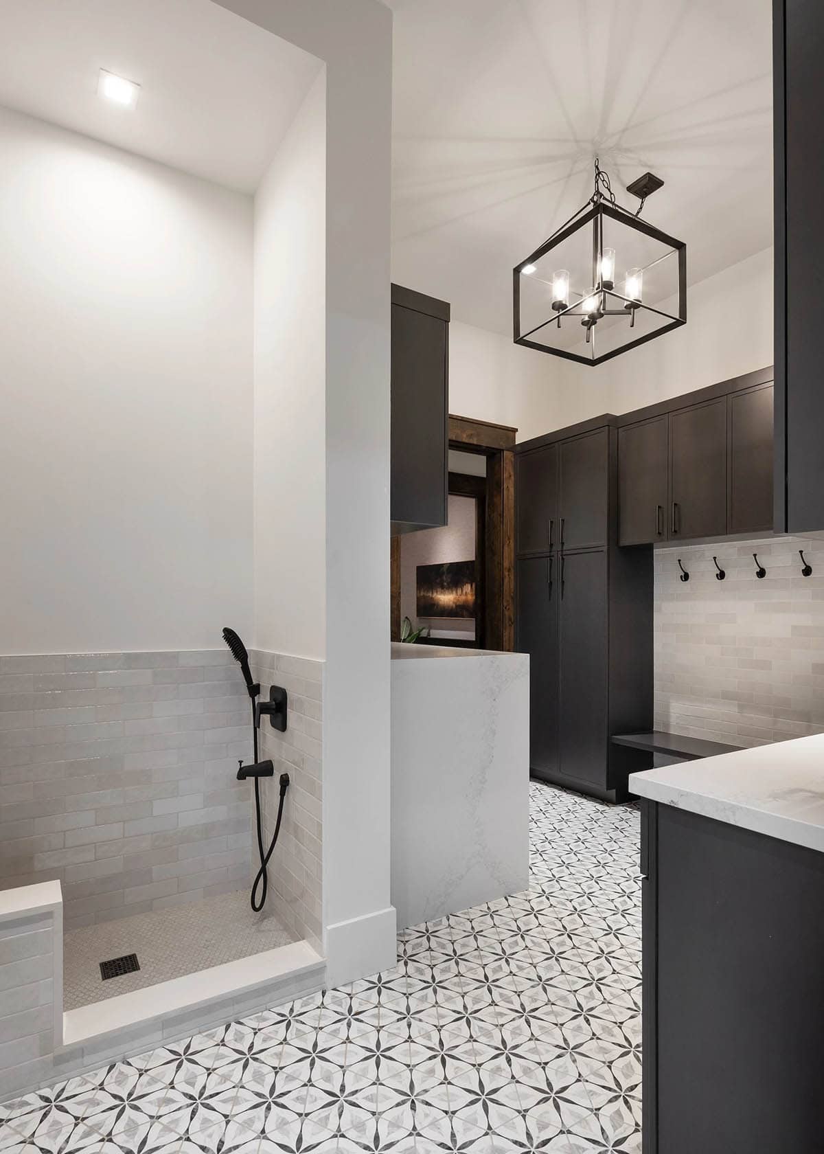 modern mountain style mudroom with a dog wash station