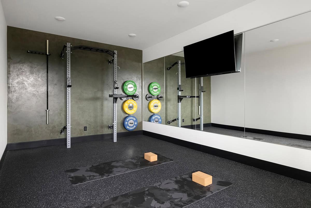 contemporary home gym